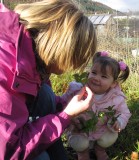 smelling mint at the allotment